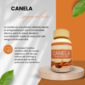 Canela  - Dnattive