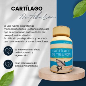 Cartilago DE TIBURON
